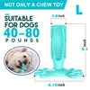 PetsHut™ Dog Toothbrush Toy